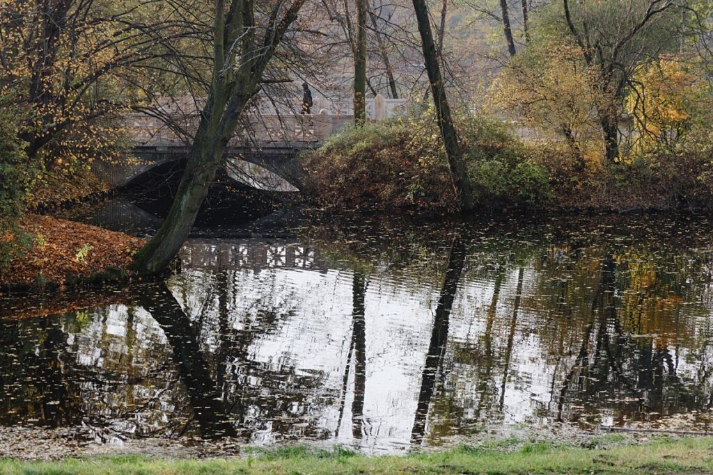 Park Skaryszewski